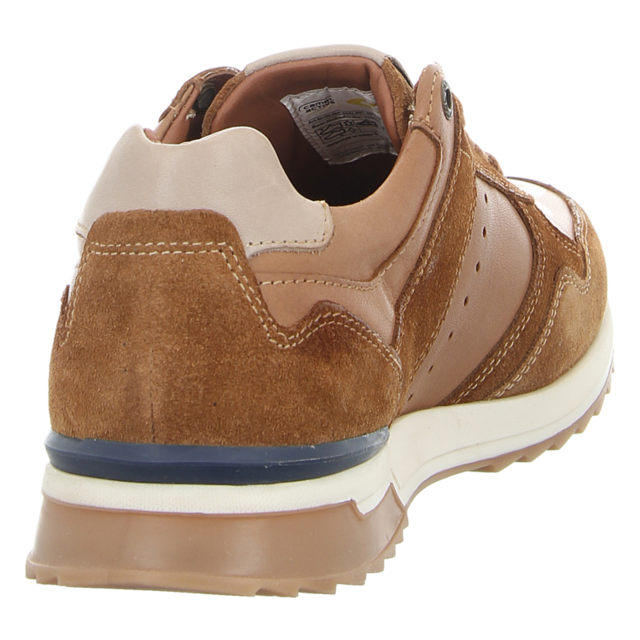 camel active - 54AL001-201-445 - 54AL001-201-445 - tan/weiss - Sneaker