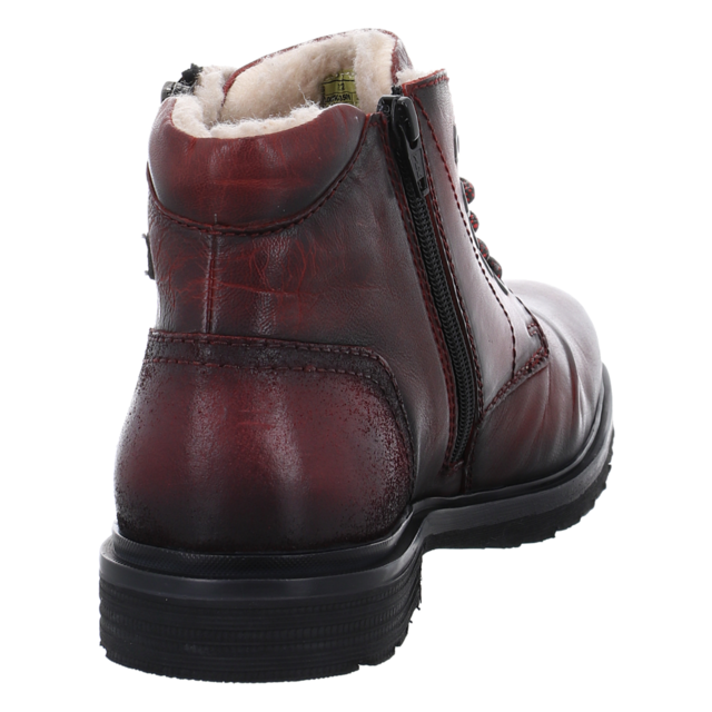 Bugatti - 325-A0U5C-3500-3100 - Vittore - dark red - Stiefeletten