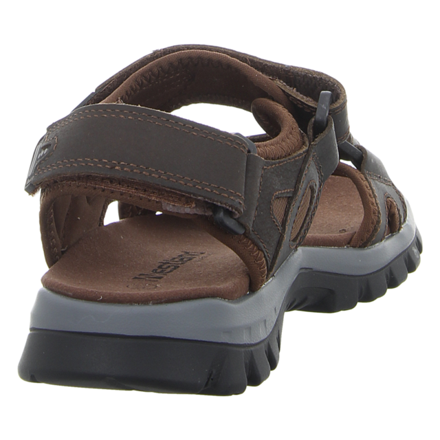 Westland - 17501-TE508330 - Auxerre 01 - moro - Sandalen