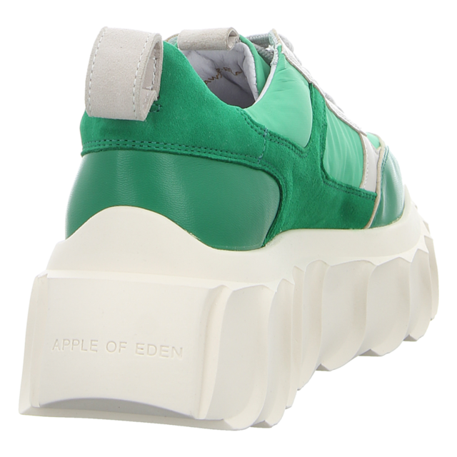 Apple of Eden - AW22-BLAIR 36 GREEN - AW22-Blair 36 - green - Sneaker