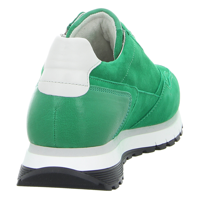 Gabor - 46.378.34 - 46.378.34 - verde/off-white - Schnrschuhe