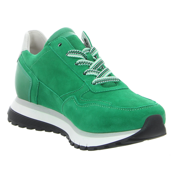 Gabor - 46.378.34 - 46.378.34 - verde/off-white - Schnrschuhe