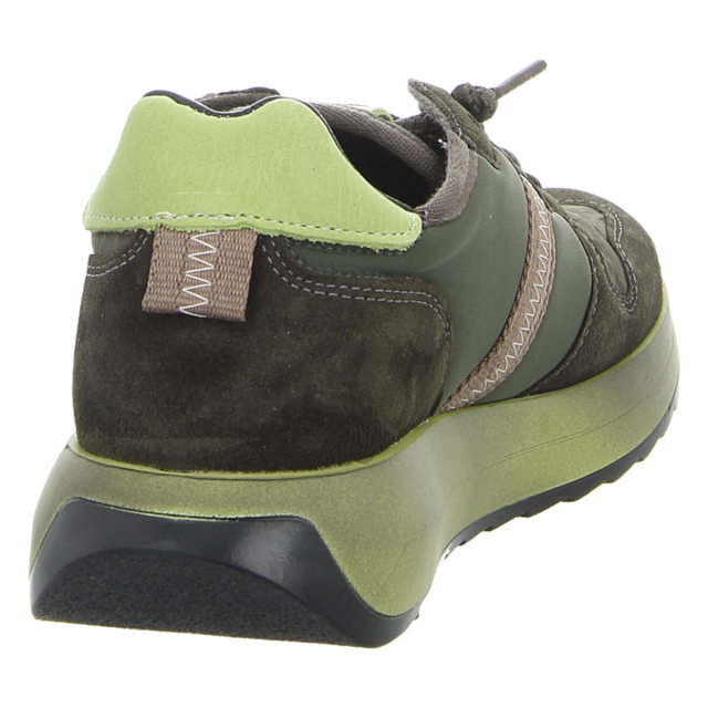 Cetti - C1311 SRA ANTE MUSGO - C1311 SRA ANTE MUSGO - musgo - Sneaker