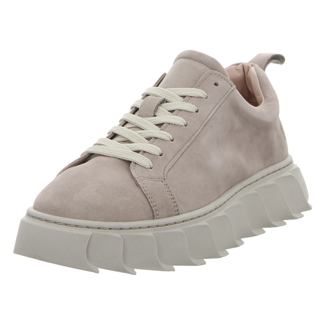 Apple of Eden - AW23-LIZZO 28 TAUPE - AW23-LIZZO 28 TAUPE - taupe - Sneaker
