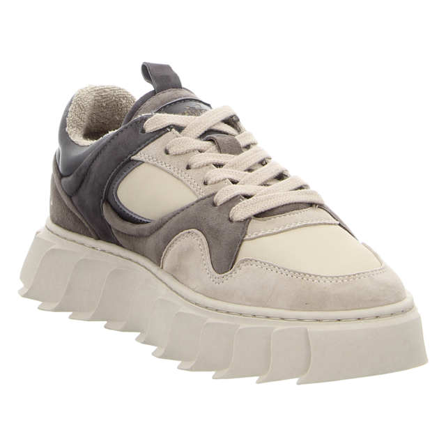 Apple of Eden - AW24-LIMA 28 TAUPE/GREY - Lima 28 - taupe/grey - Sneaker