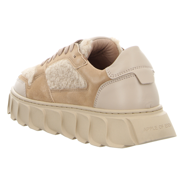 Apple of Eden - AW24-LONDON 41 BEIGE - London 41 - beige - Sneaker