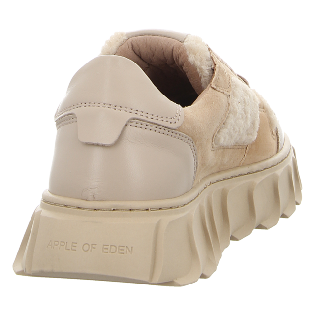 Apple of Eden - AW24-LONDON 41 BEIGE - London 41 - beige - Sneaker