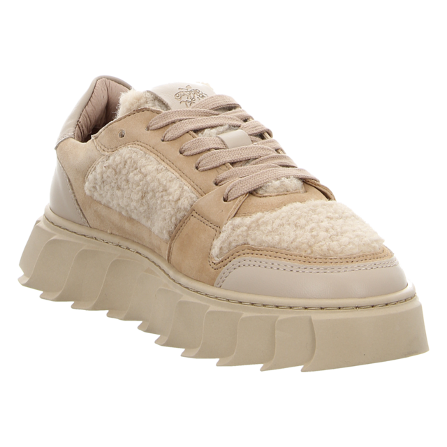 Apple of Eden - AW24-LONDON 41 BEIGE - London 41 - beige - Sneaker