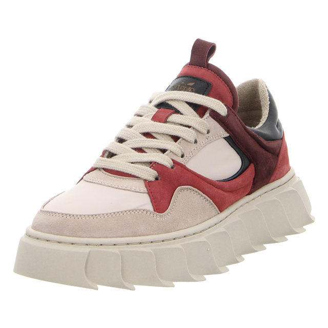 Apple of Eden - AW24-LIMA 38 SAND/BORDO - Lima 38 - sand/bordo - Sneaker