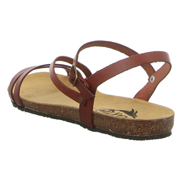 Plakton - 575660 CUERO - Mam Vita - cuero - Sandalen