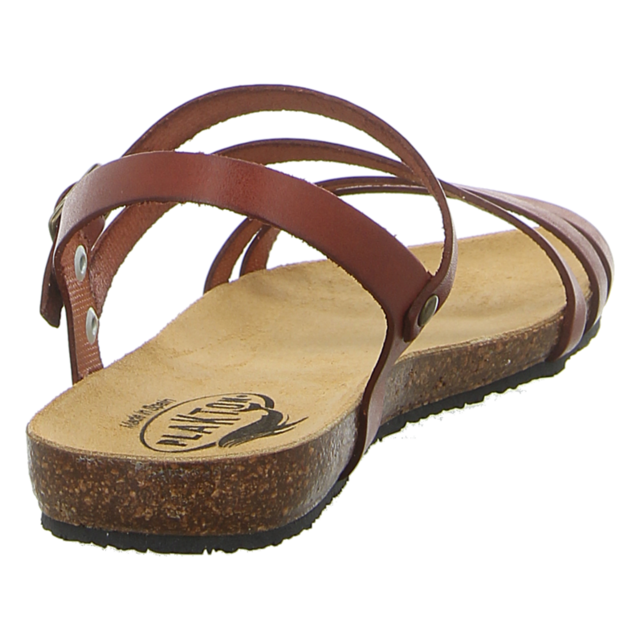 Plakton - 575660 CUERO - Mam Vita - cuero - Sandalen