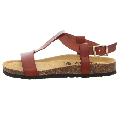 Sandalen - Plakton - Beta - cuero