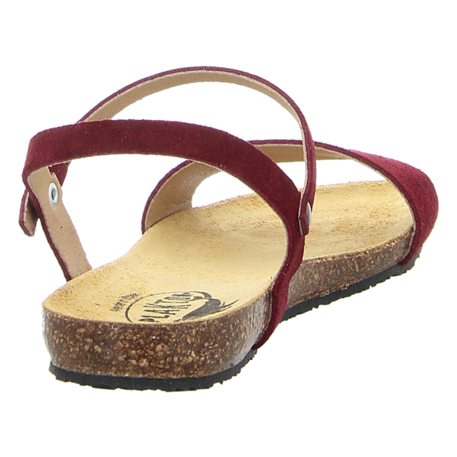 Plakton - 575725 BURDEOS (BEERE) - 575725 BURDEOS (BEERE) - burdeos (beere) - Sandalen