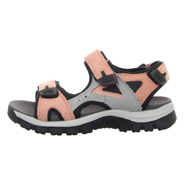 Westland - 25802-TE508425 - Avora 02 - pink-multi - Sandalen